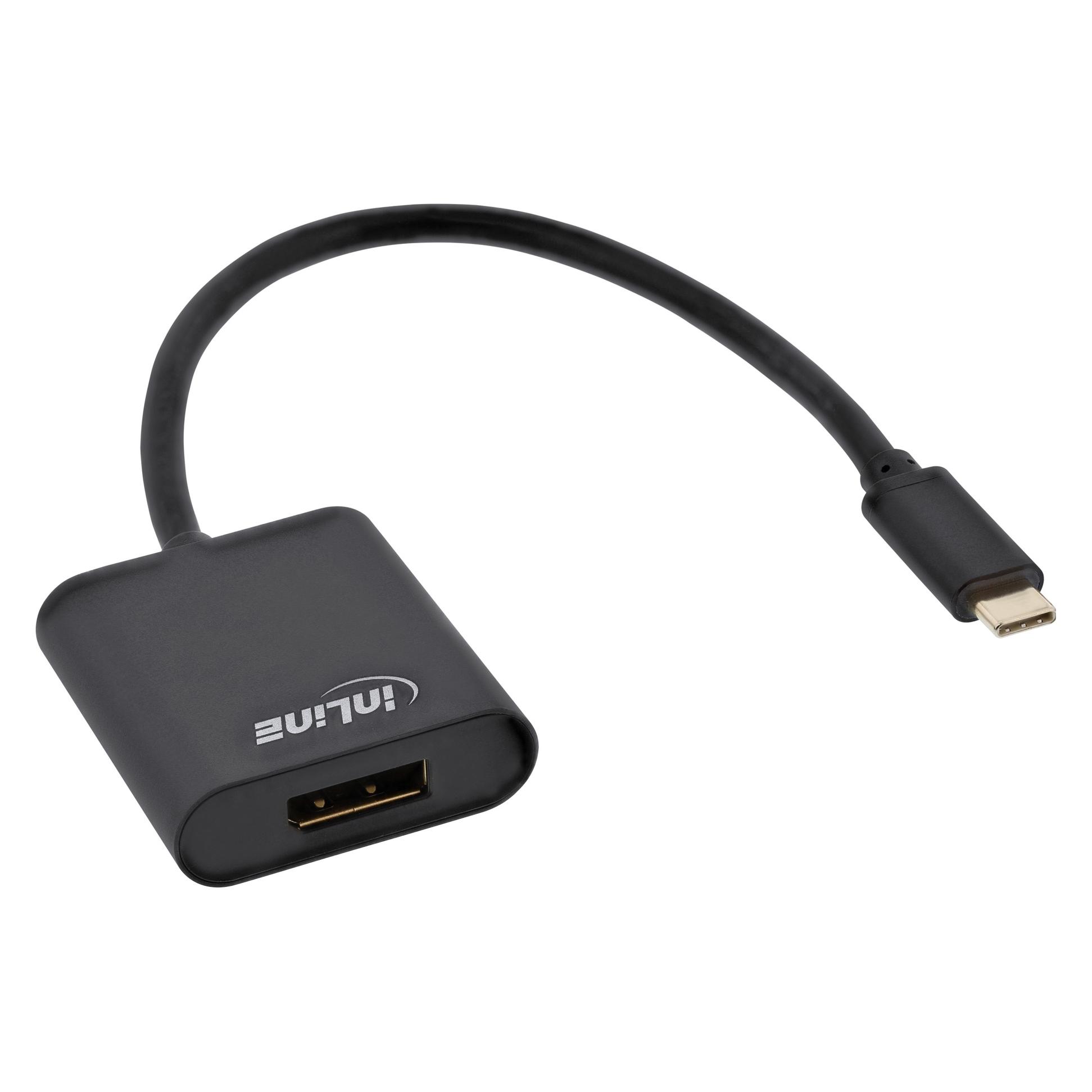 InLine USB Display Konverter (DisplayPort) (64102B)