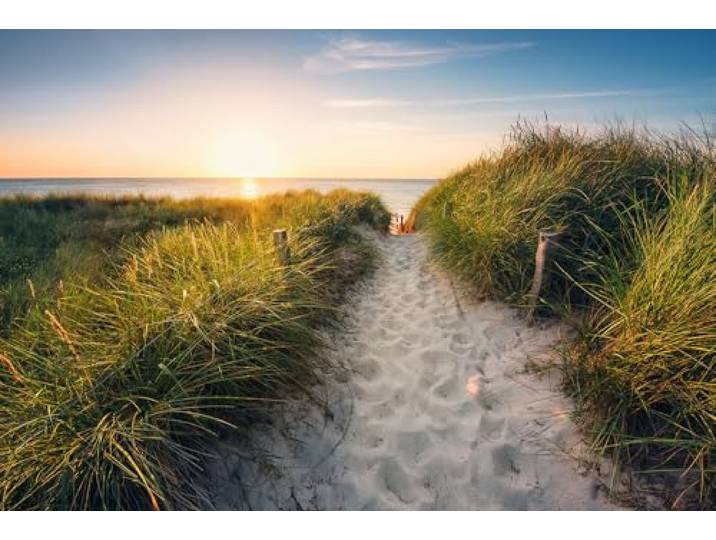 Komar Vlies Fototapete - Way to the Beach - Größe 368 x 248 cm, 4 Teile inklusive Kleister - Tapete, Wohnzimmer, Schlafzimmer