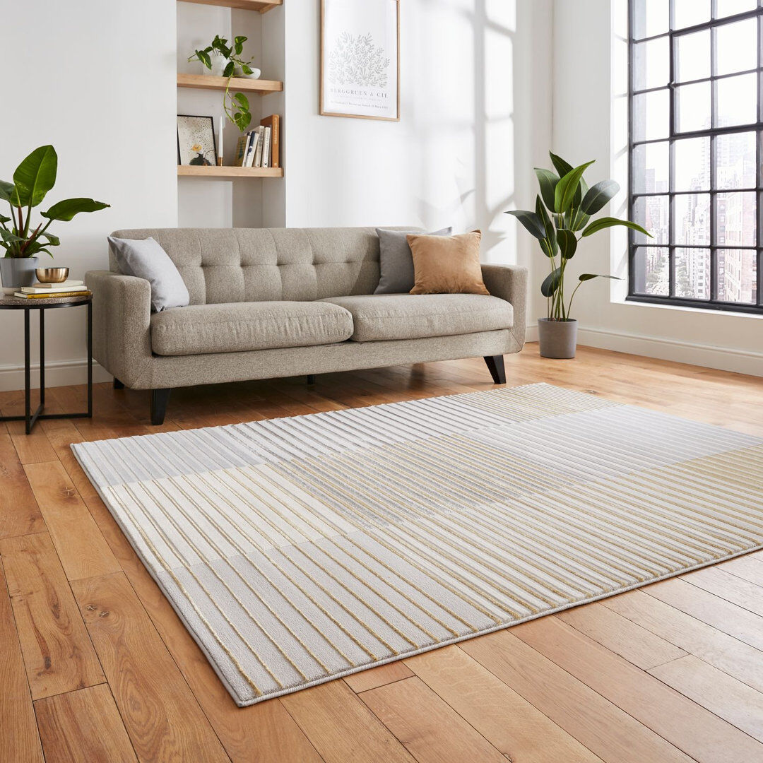 Think Rugs Apollo area rug Machine Woven Rectangle Grey Gray Rectangle 120 x 170cm