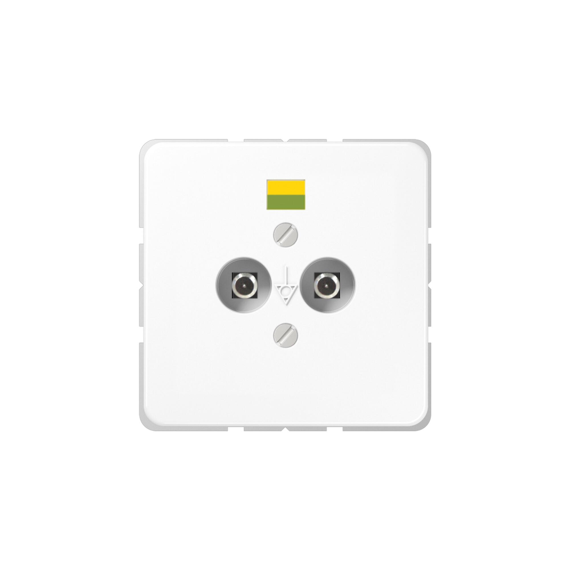 Jung Potential-Ausgl.Steckdose 2 Steckerstifte CD 565-2 WW (CD565-2WW)