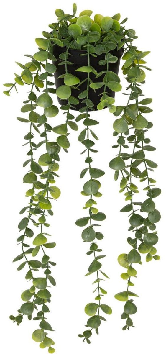 Kunstmatige eucalyptus MERLY
