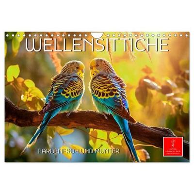 Wellensittiche farbenfroh und munter (Wandkalender 2027 DIN A4 quer), CALVENDO Monatskalender