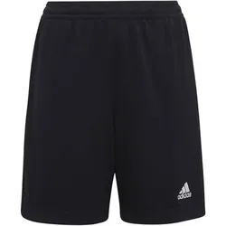 ADIDAS Kinder Teamhose Entrada 22 Training, Größe 140 in Schwarz Schwarz
