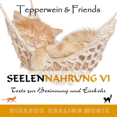 Seelennahrung 6: Texte zur Besinnung und Einkehr (Tepperwein and Friends) - , Audio, 4250701951088