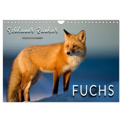 Fuchs - schlauer Räuber (Wandkalender 2027 DIN A4 quer), CALVENDO Monatskalender