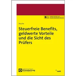 Steuerfreie Benefits, geldwerte Vorteile und die Sicht des Prüfers, Fachbücher von Jan-Phillip Muche