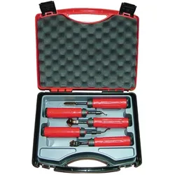 Shaviv, Raspel + Feile, Entgraterset Kit Classic KPC2 (255 mm)