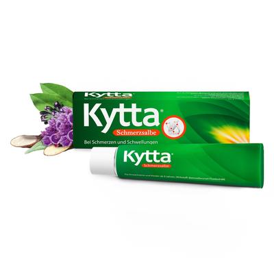 Kytta Schmerzsalbe 150 g Salbe