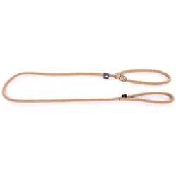 Martin Sellier Erziehungsleine für Hunde klassisch Nylon (One Size, Hund, Allgemein, Spazieren), Halsband + Leine