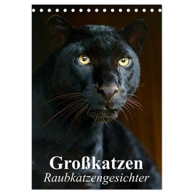 Großkatzen. Raubkatzengesichter (Tischkalender 2026 DIN A5 hoch), CALVENDO Monatskalender