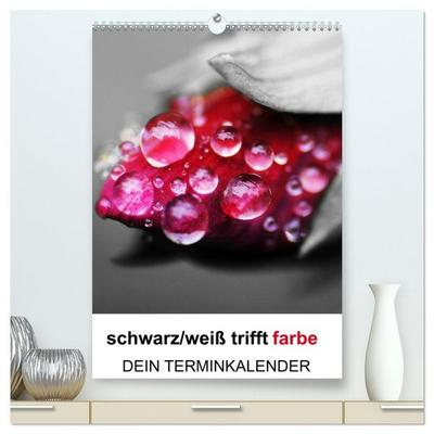 schwarz/weiß trifft farbe - DEIN TERMINKALENDER / Planer (hochwertiger Premium Wandkalender 2026 DIN A2 hoch), Kunstdruck in Hochglanz