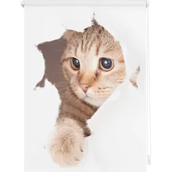 Lichtblick Rollo Klemmfix, ohne Bohren, Verdunkelung, Katze  - Weiß Braun