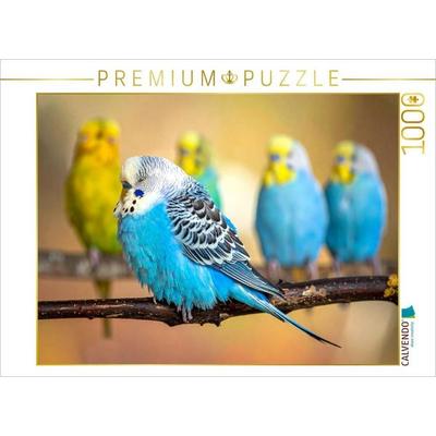 CALVENDO Puzzle Wellensittich im Traumland | 1000 Teile Lege-Größe 64x48cm Foto-Puzzle für glückliche Stunden