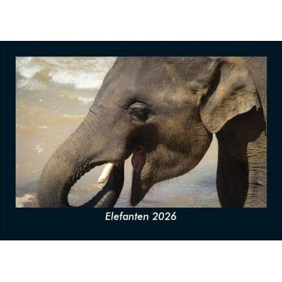 Elefanten 2026 Fotokalender DIN A5