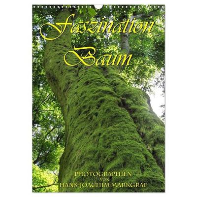 Faszination Baum (Wandkalender 2026 DIN A3 hoch), CALVENDO Monatskalender