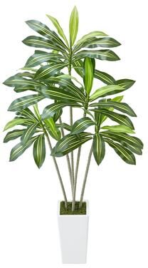 Kodotan sofa 6ft Artificial Dracaena Tree Fake Plant with White Planter Indoor