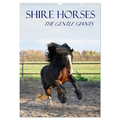 Shire Horses The Gentle Giants (Wall Calendar 2027 DIN A3 portrait), CALVENDO 12 Month Wall Calendar