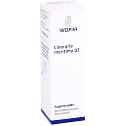 Cineraria Marit D 3