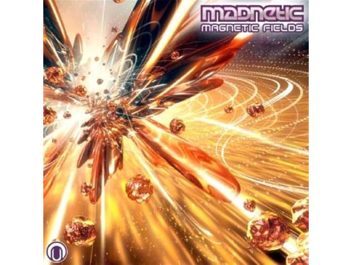 Magnetic Fields
