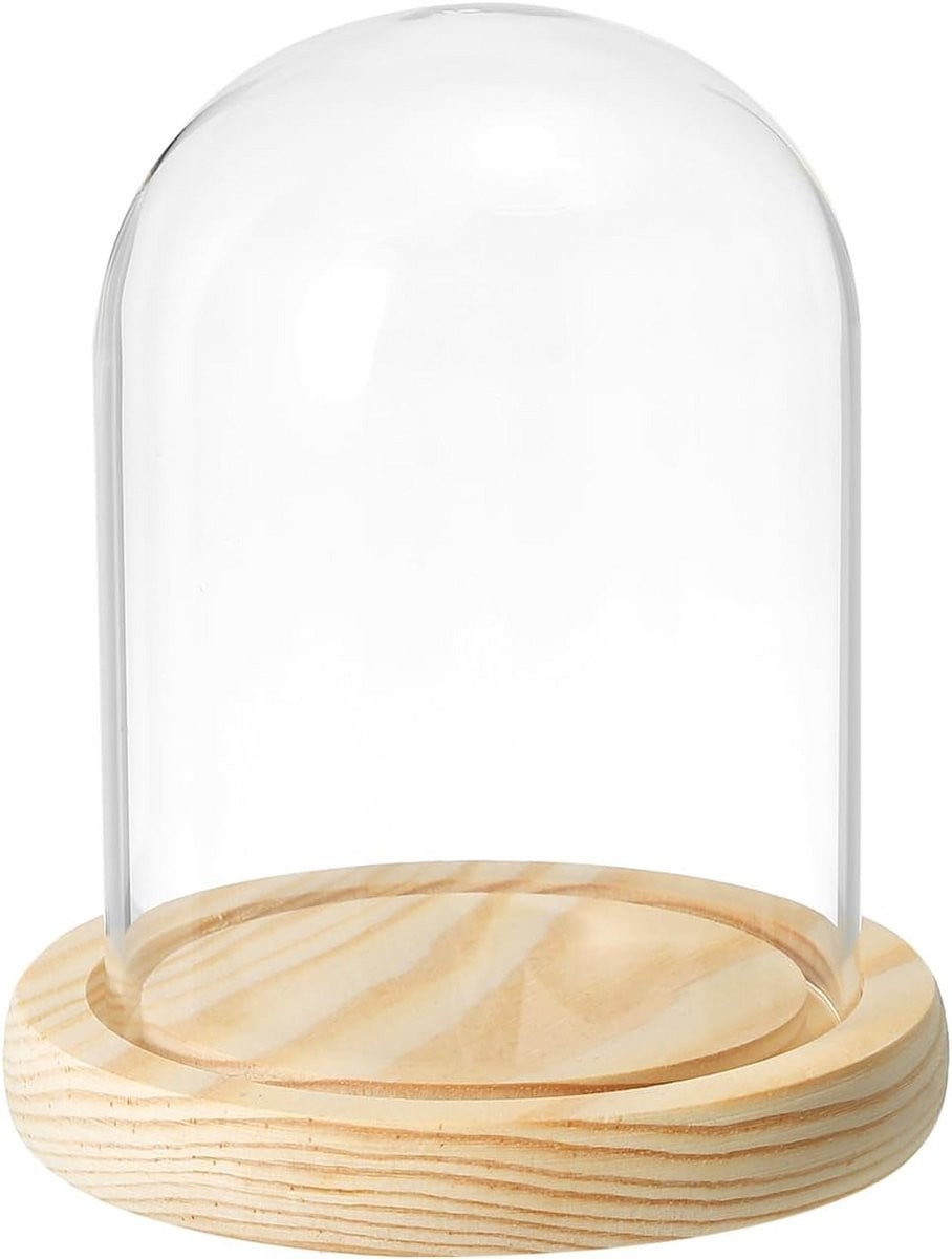 Glazen Stolp met Houten Basis voor Display en Decoratie