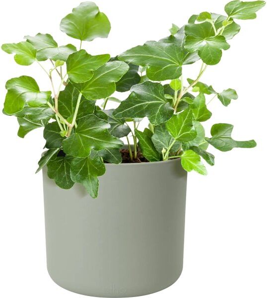 Elho B.For Soft Blomsterkrukke, 18 Cm, Stone Green