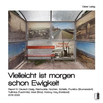 Vielleicht ist morgen schon Ewigkeit, Taschenbuch von Dieter Liebig, MEDU Verlag, 978-3-96352-133-1