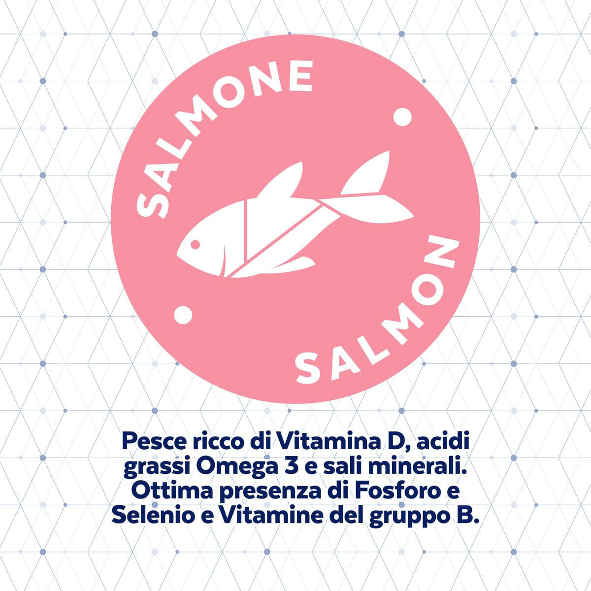 BeFortis Dog Adult Mini Hypoallergenic Salmone 1KG