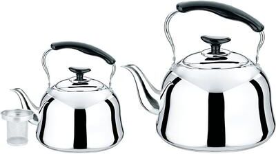 STP Goods Stainless Steel Kettles with Infuser Set of 2 - Setof2
