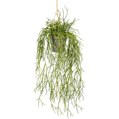 Kunstranke CREATIV GREEN "Rhipsalishänger", grau, B:12cm H:60cm L:12cm, Obermaterial: 100% Polyethylen, Kunstpflanzen