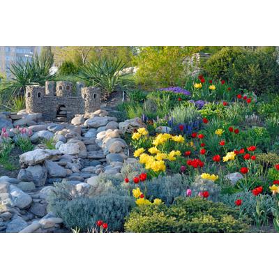 Fototapete PAPERMOON "GARTEN-BÄUME BLUMEN PFLANZEN PARK STEINE GRÜN BLÜTEN", bunt, B:3,5m L:2,6m, Vlies, Tapeten