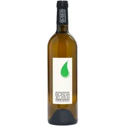 Blanc 2024 - Domaine Bordaxuria