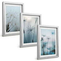 BILDER SET 3er Set - 20x30 cm Silberner Rahmen - Löwenzahn mit Wassertropfen