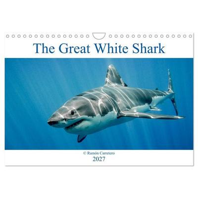 The Great White Shark: King of the Ocean (Wall Calendar 2027 DIN A4 landscape), CALVENDO 12 Month Wall Calendar