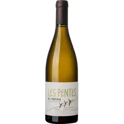Les Pentes 2021 - Clos de l'Écotard