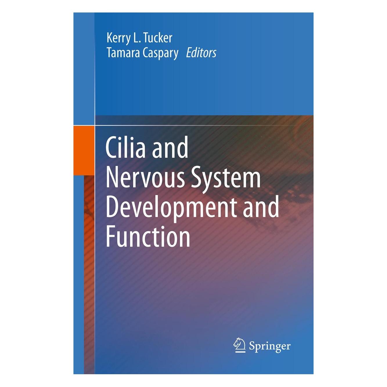 Springer Cilia and Nervous System Development and Function (Englisch, Hardcover, Kerry L. Tucker, Tamara Caspary) (9789400758070)