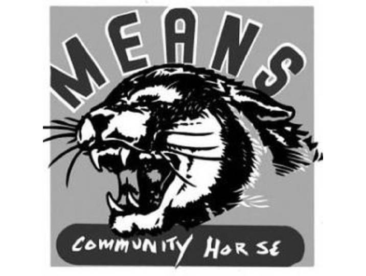 Community Horse