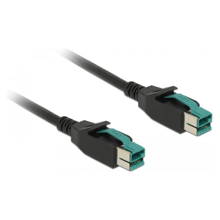 Delock 85495 PoweredUSB Kabel Stecker 12 V (4 m) (85495)