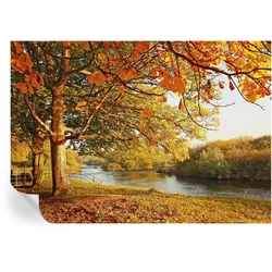 FOTOTAPETE 208x146 cm - Küstenherbst
