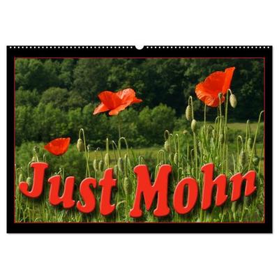Just Mohn (Wandkalender 2027 DIN A2 quer), CALVENDO Monatskalender