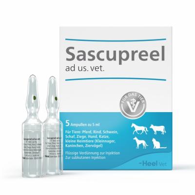 Biologische Heilmittel Heel GmbH SASCUPREEL ad us.vet.Ampullen 5X5 ml 17511762