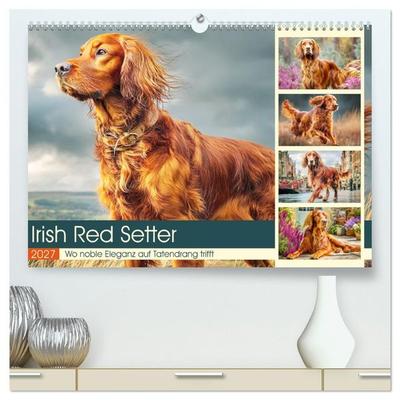 Irish Red Setter. Wo noble Eleganz auf Tatendrang trifft (hochwertiger Premium Wandkalender 2027 DIN A2 quer), Kunstdruck in Hochglanz