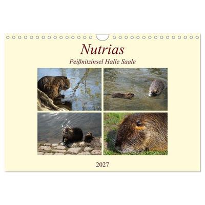 Nutrias Peißnitzinsel Halle Saale (Wandkalender 2027 DIN A4 quer), CALVENDO Monatskalender