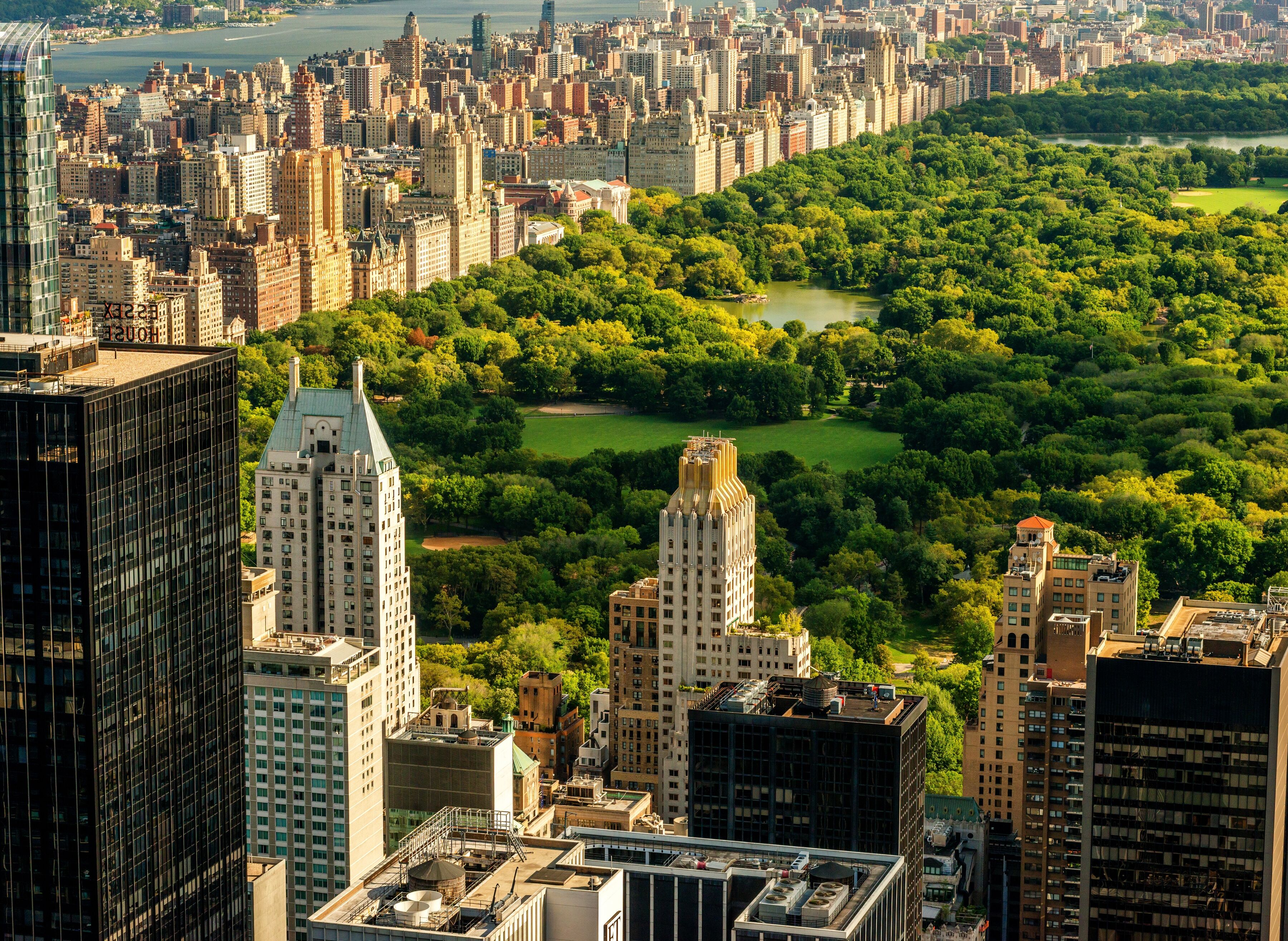 Fototapete PAPERMOON "Central Park Manhattan", bunt, B:4m L:2,6m, Vlies, Tapeten, Fototapete bunt B/L: 4m x 2,6m, Bahnen: 8 Stk.