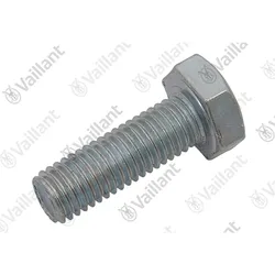 Vaillant Schraube H M10-30 Zn Halter 100L 0020246444