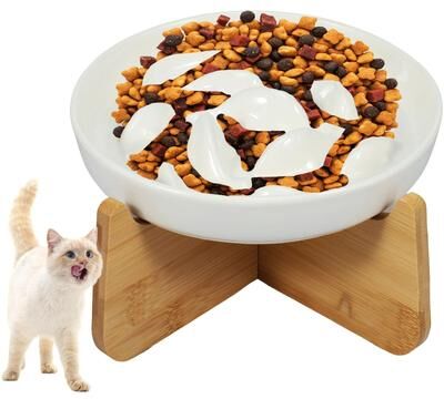 Uplift Essentials Elevated Ceramic Anti Vomiting Cat Bowl white