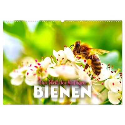 Die Welt der fleißigen Bienen (Wandkalender 2026 DIN A2 quer), CALVENDO Monatskalender