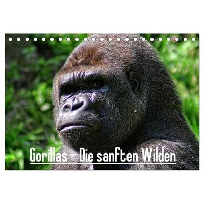 Gorillas - Die sanften Wilden (Tischkalender 2027 DIN A5 quer), CALVENDO Monatskalender