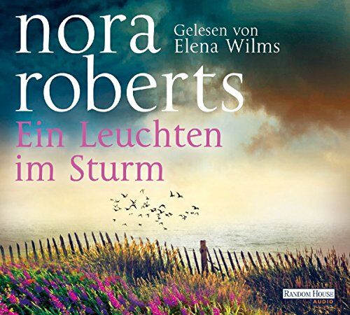 Nora Roberts - Ein Leuchten im Sturm - Preis vom 02.10.2026 23:42:20 h
