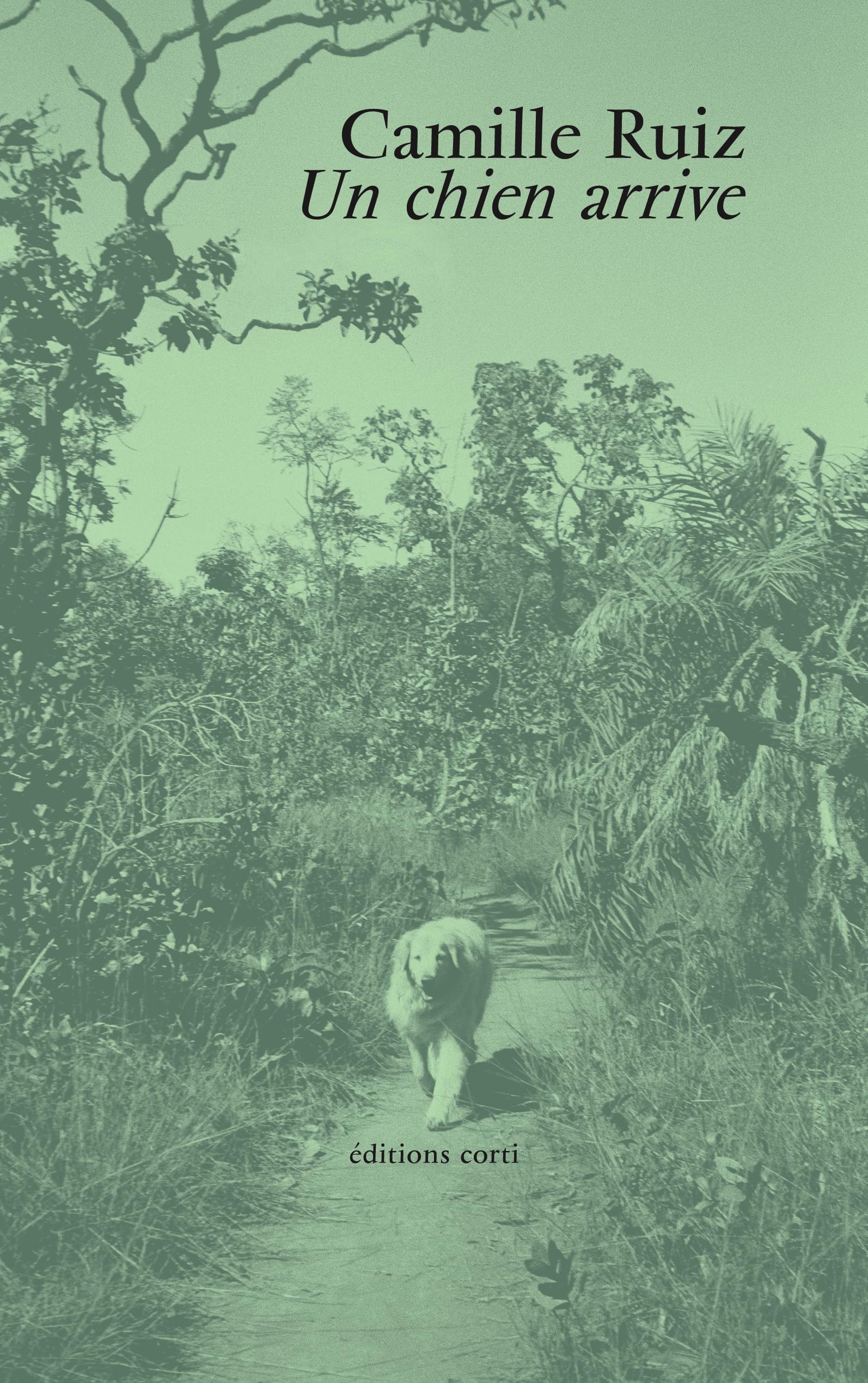 Camille Ruiz - Un chien arrive - Preis vom 01.10.2026 17:08:56 h