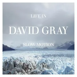 Amped, Schallplatten, Life In Slow Motion -20th Anniversary Edition- (David Gray)
